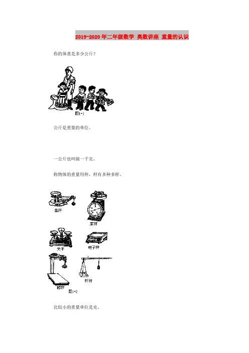 2019-2020年二年级数学 奥数讲座 重量的认识