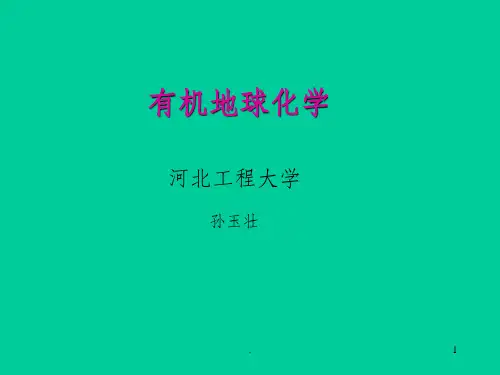 有机地球化学ppt课件