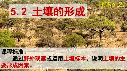 土壤的形成课件高一上学期地理湘教版(2019)必修第一册
