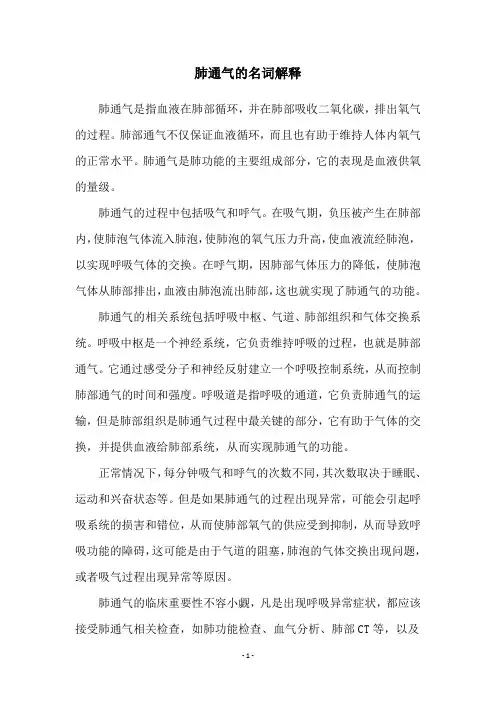 肺通气的名词解释