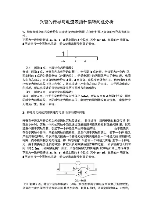 兴奋的传导与电流表指针偏转问题分析
