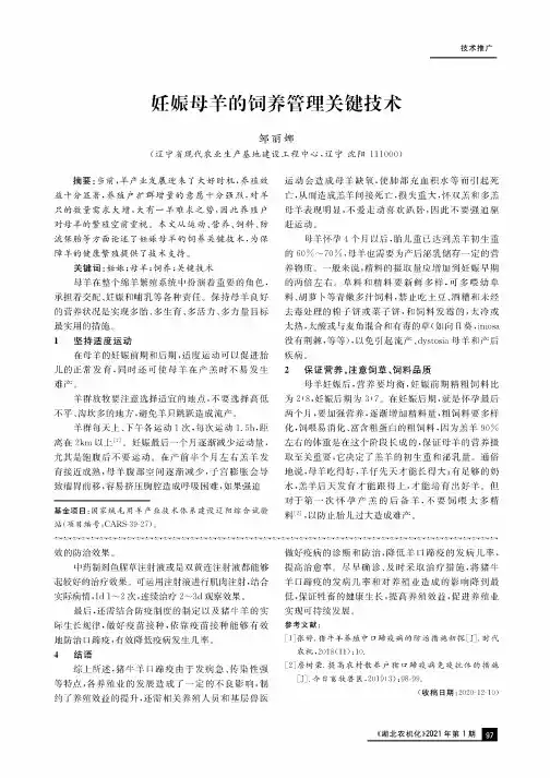 妊娠母羊的饲养管理关键技术