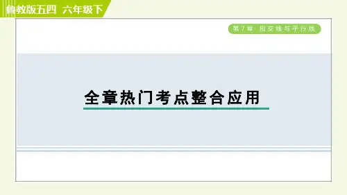 鲁教五四版六年级下册数学 第7章 全章热门考点整合应用 习题课件