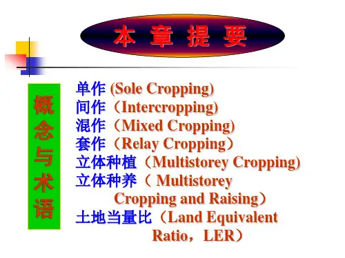 套作的主要类型与方式演示稿