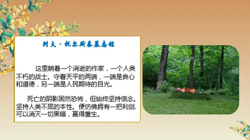 第8课《列夫 托尔斯泰》课件(共32张PPT) 2023—2024学年统编版语文八年级上册