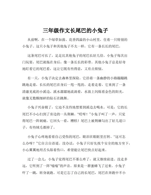 三年级作文长尾巴的小兔子