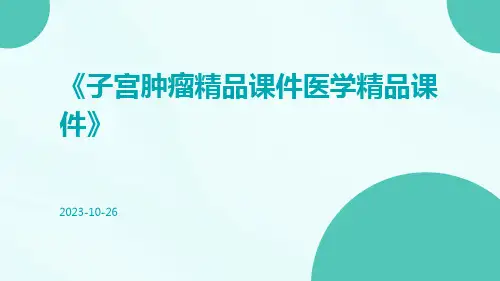 子宫肿瘤精品课件医学精品课件