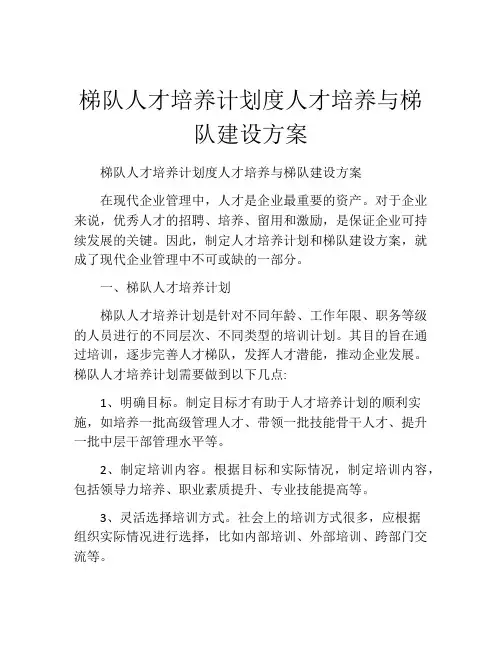 梯队人才培养计划度人才培养与梯队建设方案