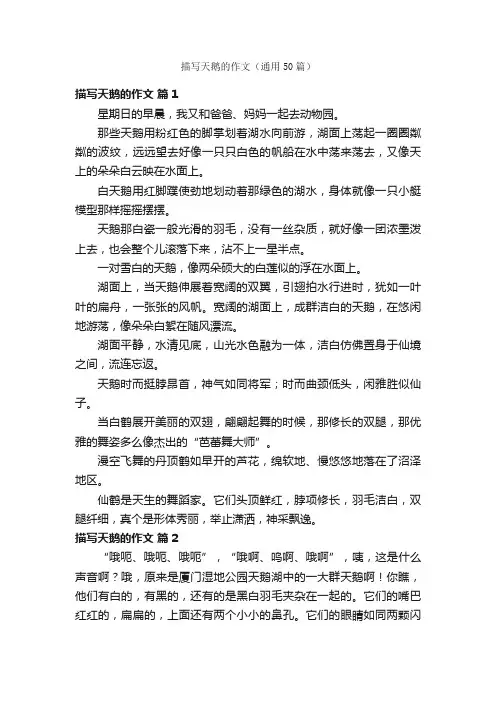 描写天鹅的作文（通用50篇）