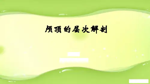 5.颅顶的层次解剖