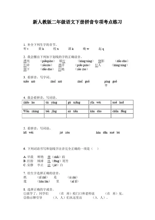 新人教版二年级语文下册拼音专项考点练习