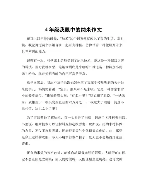 4年级我眼中的纳米作文