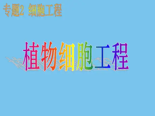 植物细胞工程.ppt
