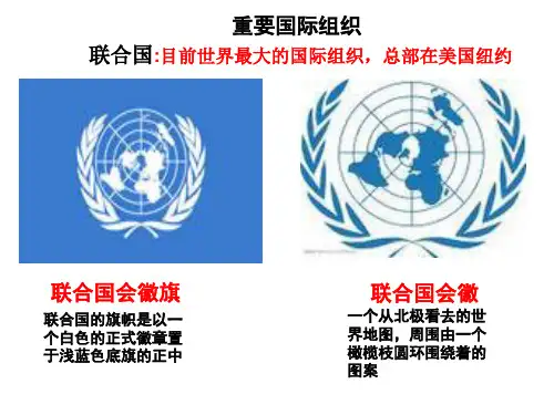 课件：国际重要组织及图标