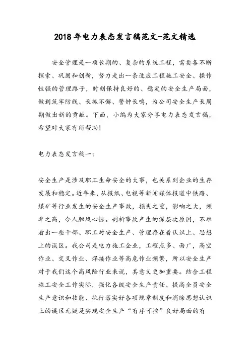 2018年电力表态发言稿范文-范文精选