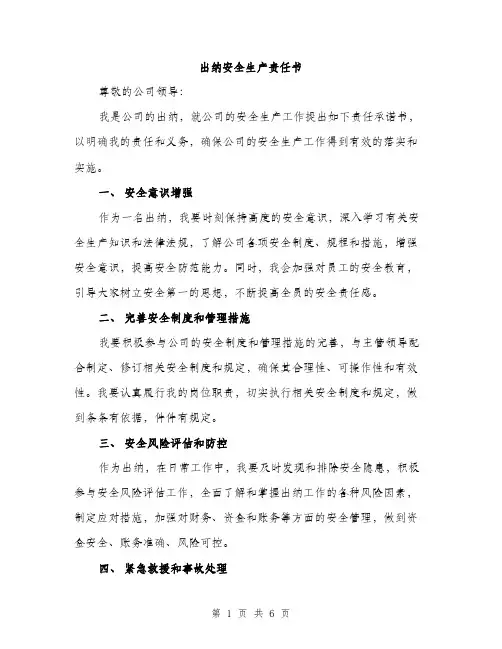 出纳安全生产责任书（3篇）