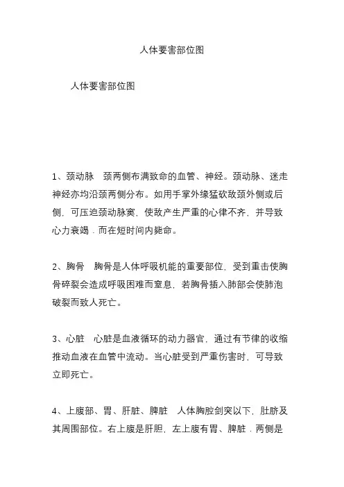 人体要害部位图