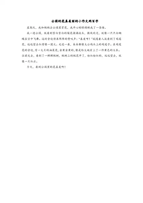 公园的花真美丽的小作文两百字
