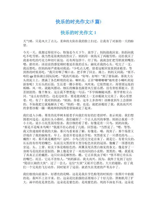 快乐的时光作文(5篇)
