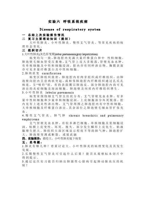 呼吸系统疾病实验讲稿