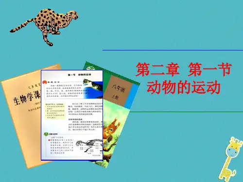 八年级生物上册 第五单元 第二章 动物的运动说课课件 (新版)新人教版