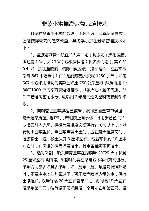 韭菜小拱棚高效益栽培技术