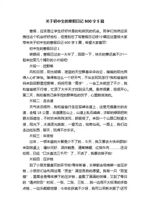 关于初中生的寒假日记600字5篇