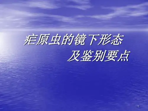 疟原虫的镜下形态PPT课件