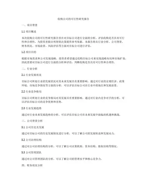 收购公司的可行性研究报告