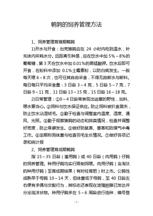 鹌鹑的饲养管理方法