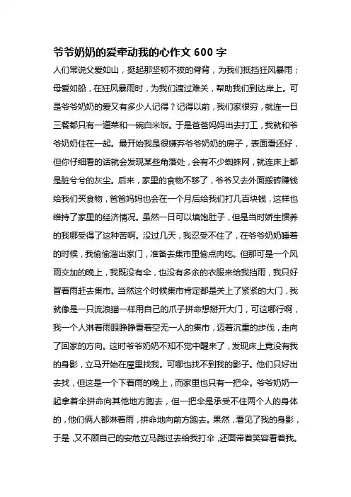 爷爷奶奶的爱牵动我的心作文600字