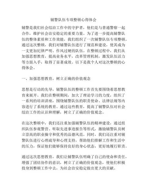 辅警队伍专项整顿心得体会