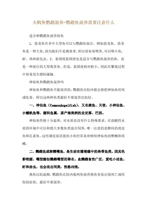 火鹤鱼鹦鹉混养-鹦鹉鱼混养需要注意什么