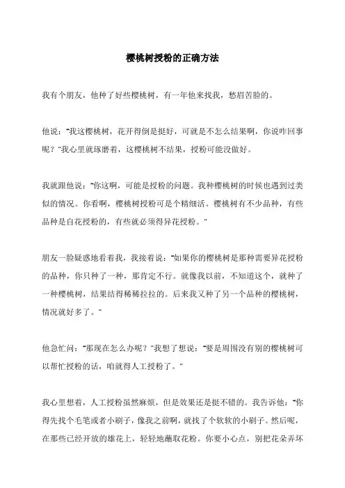 樱桃树授粉的正确方法