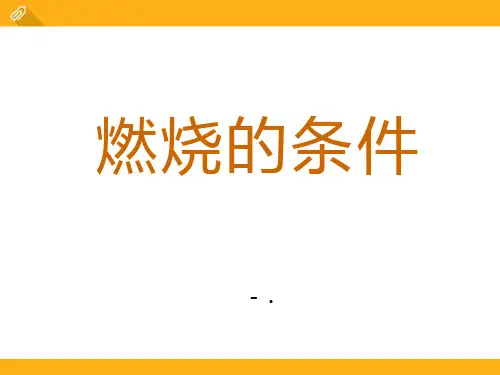 《燃烧的条件》PPT课件