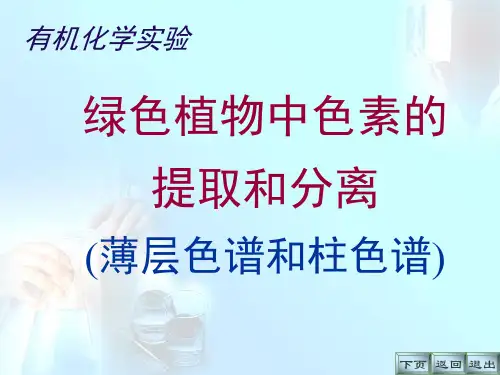 绿色植物中色素的提取和分离薄层色谱和柱色谱