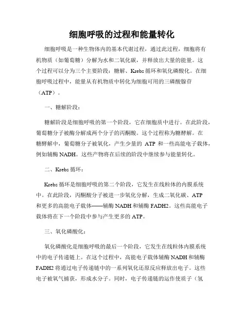 细胞呼吸的过程和能量转化