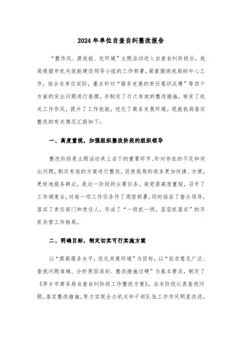 2024年单位自查自纠整改报告(三篇)