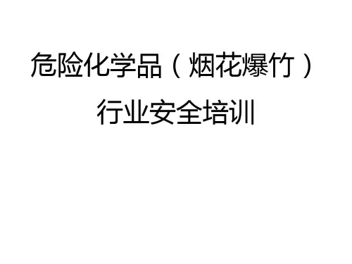 危险化学品(烟花爆竹)行业安全培训