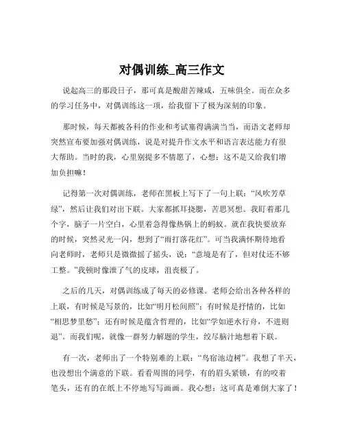 对偶训练_高三作文