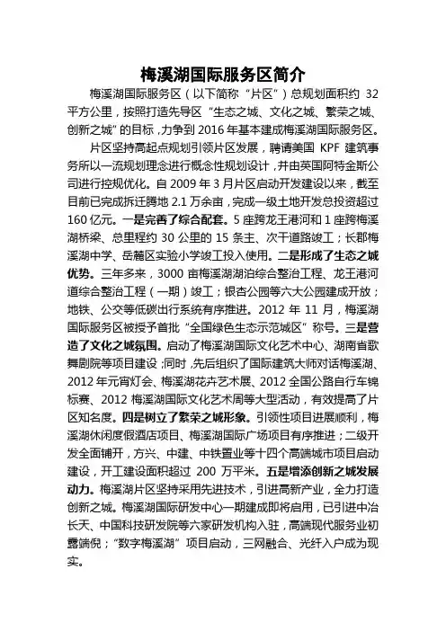 梅溪湖国际服务区简2013.1.14介
