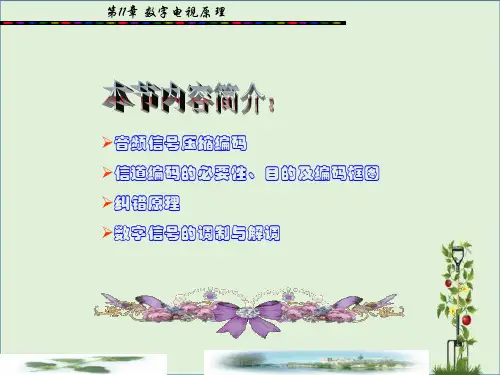 信源及信道编码