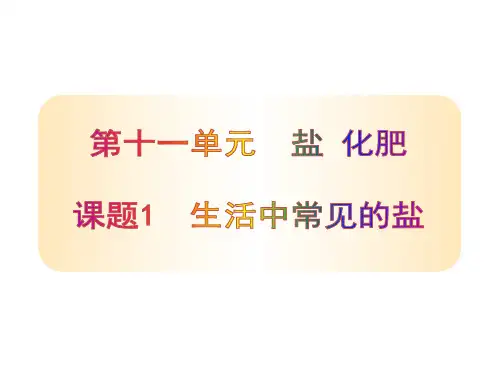 课题1-生活中常见的盐ppt课件
