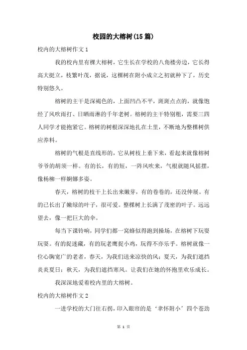 校园的大榕树(15篇)