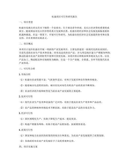 松滋项目可行性研究报告