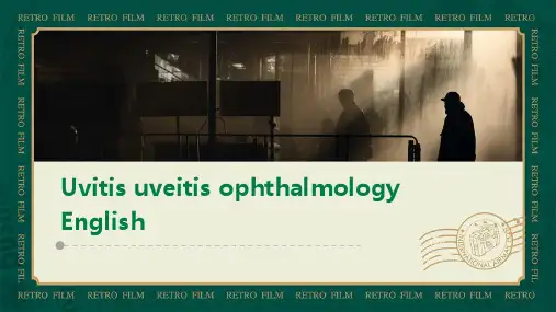 Uveitis葡萄膜炎眼科学英文