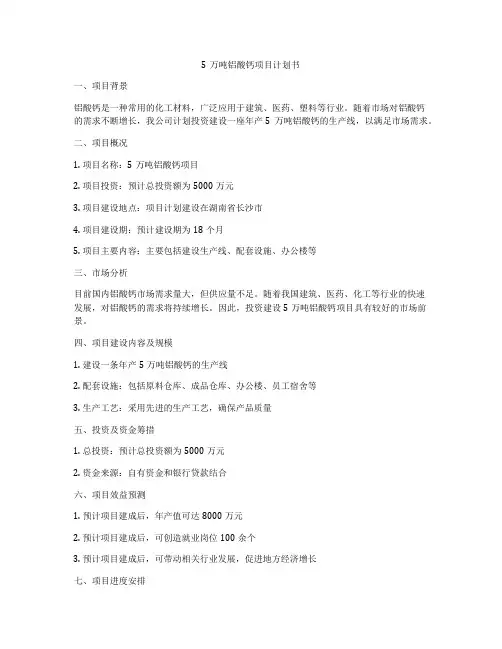 5万吨铝酸钙项目计划书