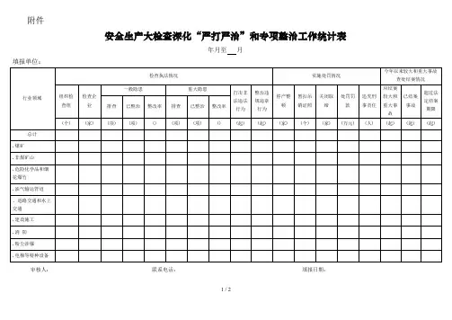 安全生产大检查深化严打严治和专项整治工作统计表