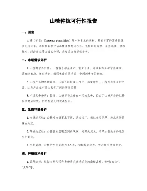 山楂种植可行性报告