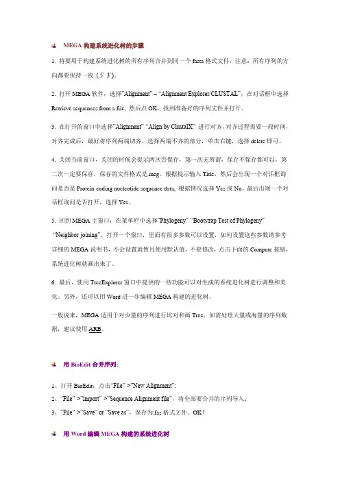 MEGA4.0构树步骤